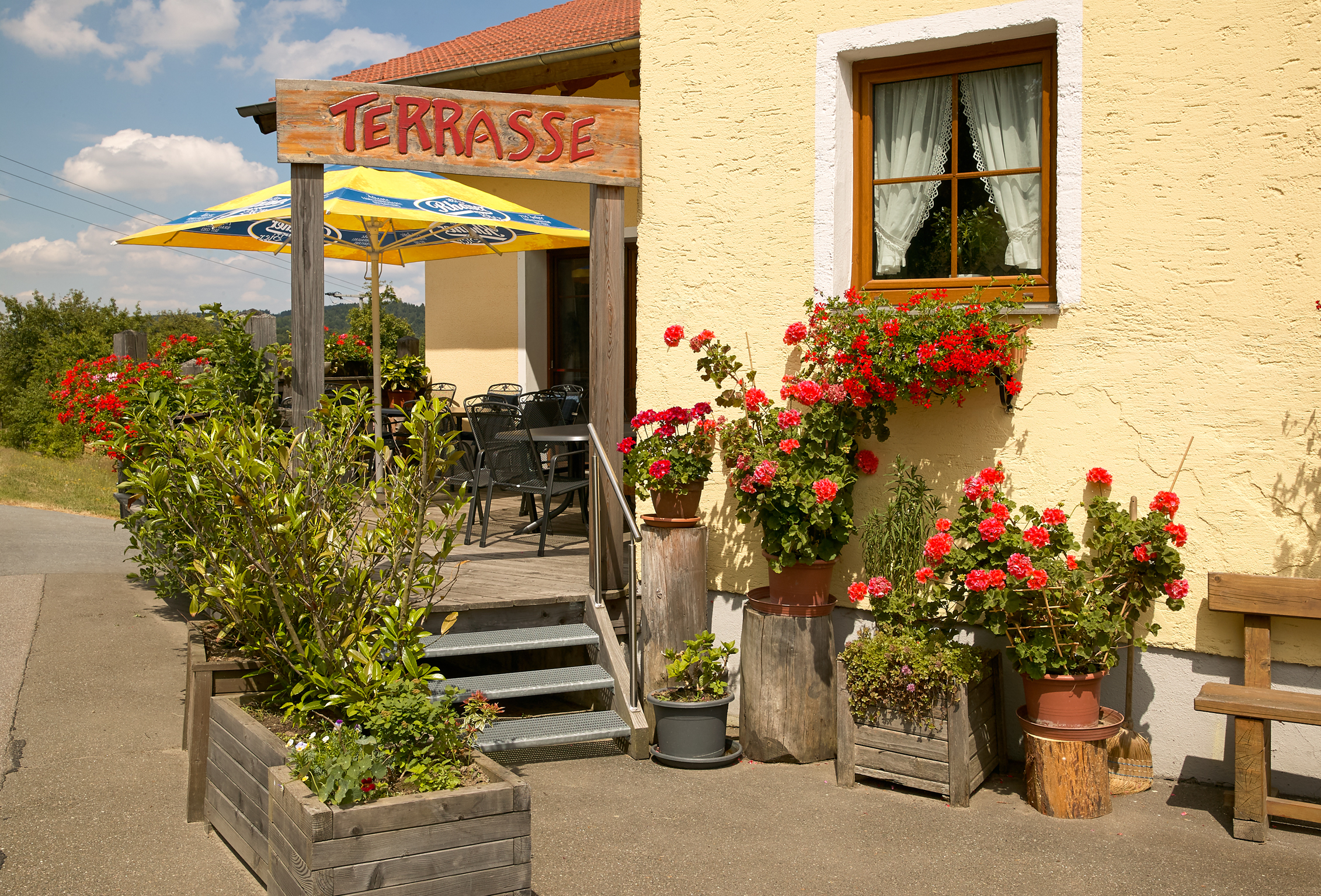 Aufgang Terrasse